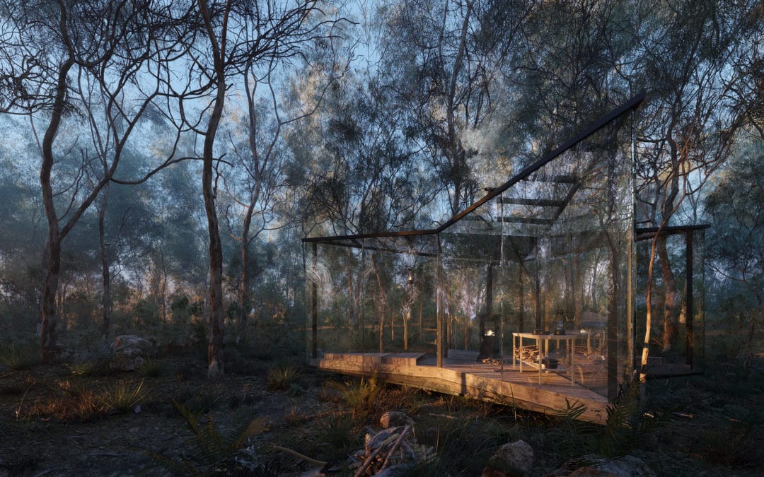 Australian Forest by Sergey Ferley