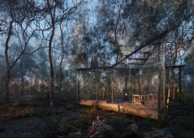 Australian Forest by Sergey Ferley